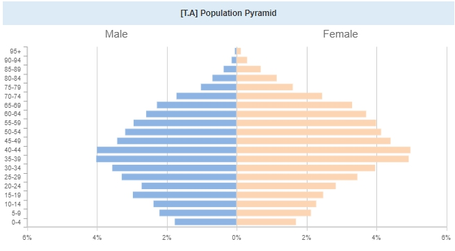 人口ピラミッドイメージ
